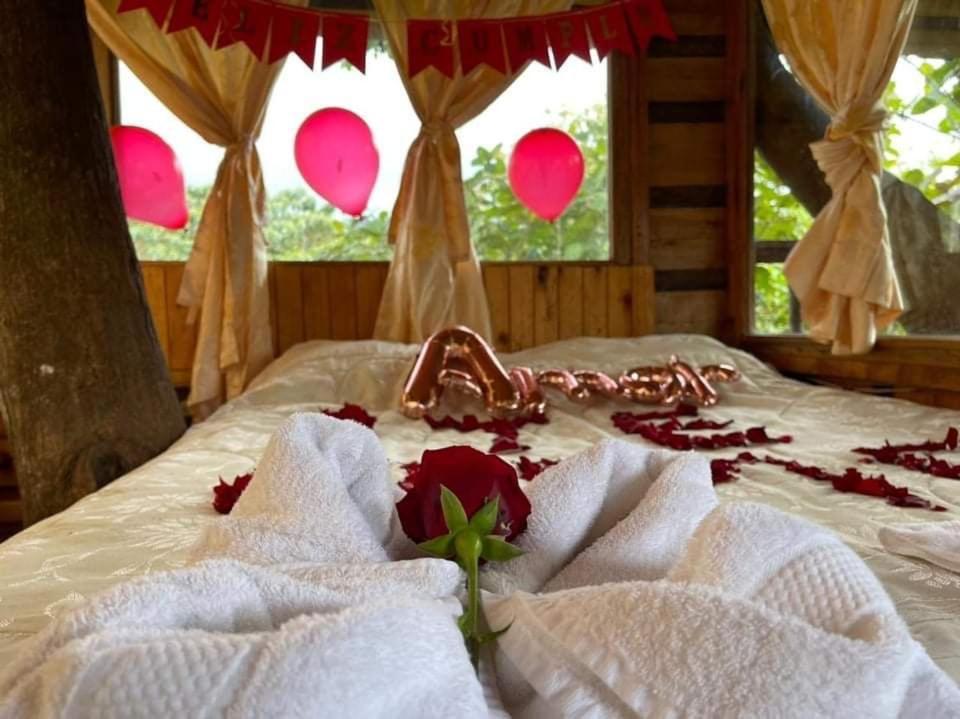 Eden Treehouse Villa Mindo Esterno foto