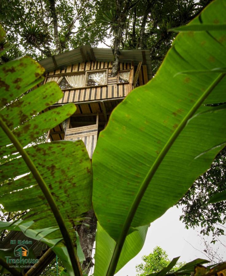 Eden Treehouse Villa Mindo Esterno foto