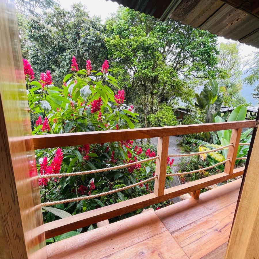 Eden Treehouse Villa Mindo Esterno foto