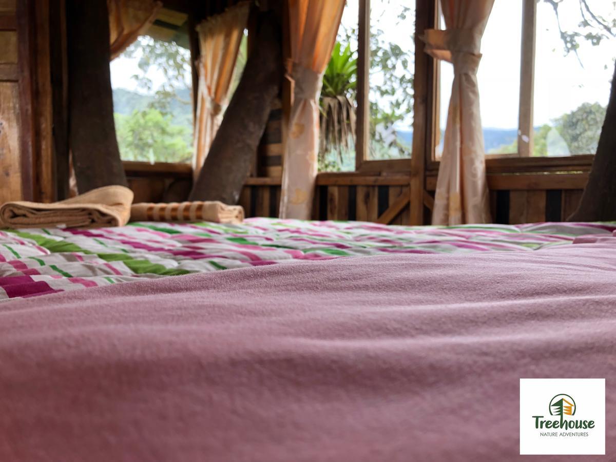 Eden Treehouse Villa Mindo Esterno foto