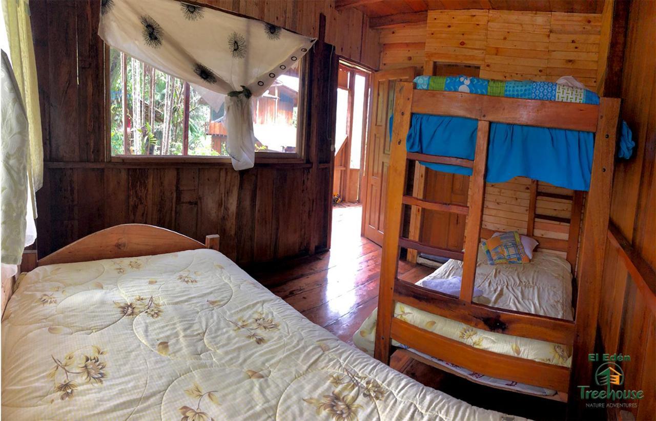 Eden Treehouse Villa Mindo Esterno foto